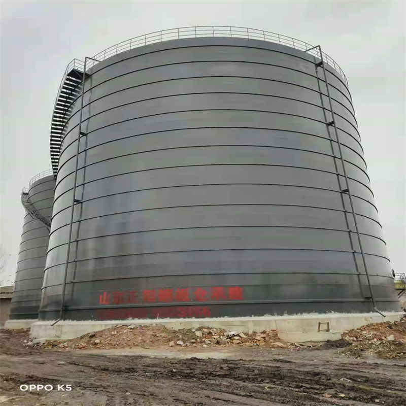 民丰3万吨大型钢板库