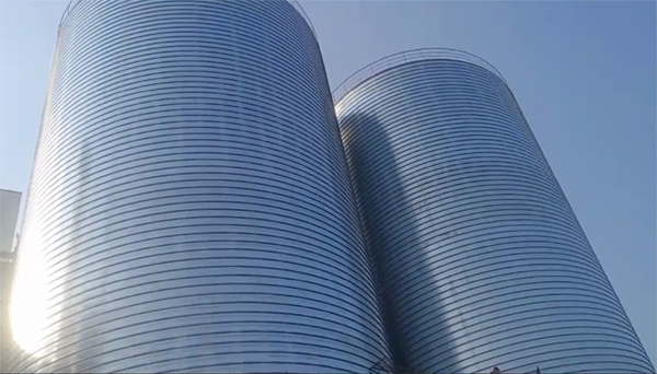 民丰2座混凝土高架卷板仓